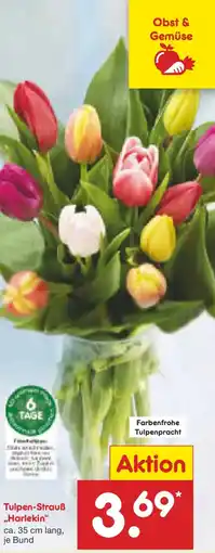 Netto Marken-Discount Tulpen-Strauß „Harlekin" Angebot