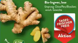 Aldi Süd Bio-Ingwer, lose Angebot