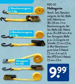Aldi Süd RIDE+GO Haltegurte Angebot