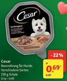 Fressnapf Cesar Nassnahrung für Hunde Angebot