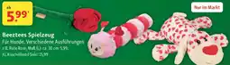 Fressnapf Beeztees Spielzeug Angebot