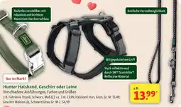 Fressnapf Hunter Halsband, Geschirr oder Leine Angebot