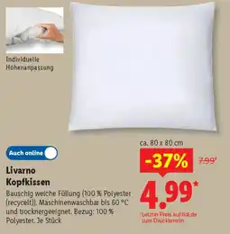 Lidl Livarno Kopfkissen Angebot