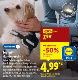 Lidl Zoofari Hundegeschirr Angebot