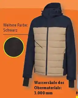 Lidl Crivit Skijacke Herren Angebot
