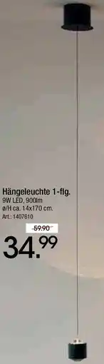 Zurbrüggen Hängeleuchte 1-flg. Angebot