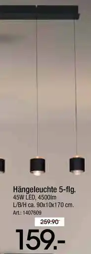 Zurbrüggen Dieter Knoll Hängeleuchte 5-flg. Angebot