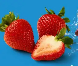 Lidl Erdbeeren Angebot