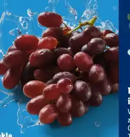 Lidl Trauben Angebot