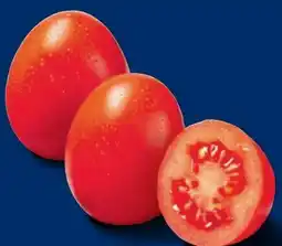 Lidl Romatomaten Angebot