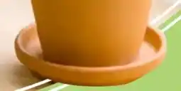 Thomas Philipps Terrakotta Untersetzer Angebot