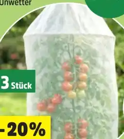 Thomas Philipps Grüner Jan Vlies-Tomatenreifehaube Angebot