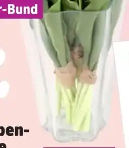 Thomas Philipps Tulpenvase Angebot