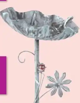 Thomas Philipps Vogeltränke Angebot