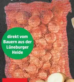 Thomas Philipps Speisezwiebeln XXL Angebot