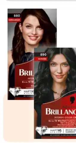 Rossmann Schwarzkopf Brilliance Colorationen Angebot