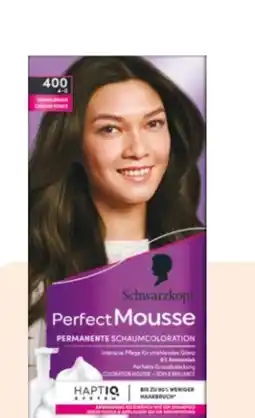 Rossmann Schwarzkopf Perfect Mousse Schaum Coloration Angebot