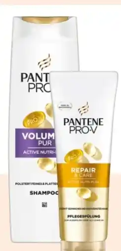 Rossmann Pantene Pro-V Shampoo Angebot