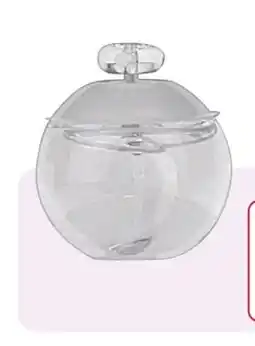 Rossmann Cacharel Noa EdP Angebot