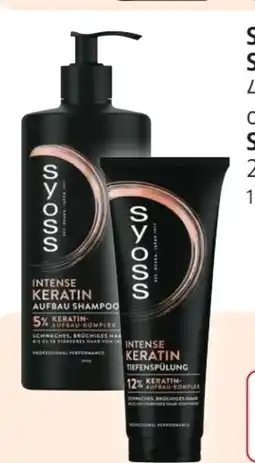 Rossmann Schwarzkopf Syoss Shampoo Angebot