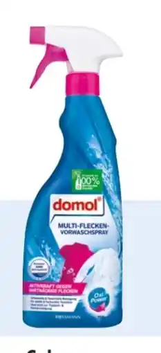 Rossmann Domol Multi-Flecken-Vorwaschspray Angebot