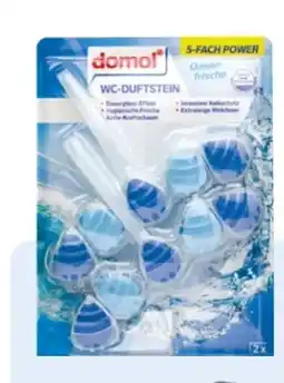 Rossmann Domol WC-Duftsteine Angebot
