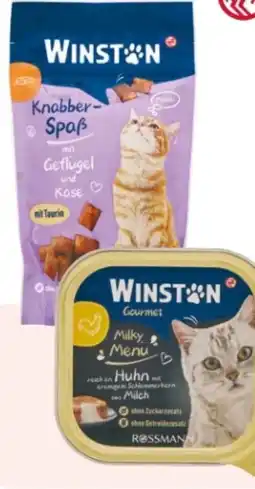 Rossmann Winston Knabber-Spaß Angebot