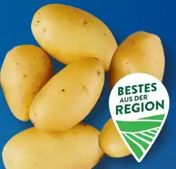 Aldi Süd Speisekartoffeln Angebot