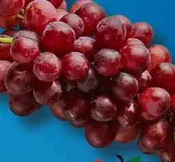 Aldi Süd Trauben Angebot