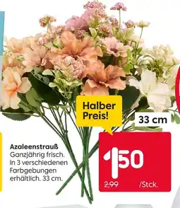 Rusta Azaleenstrauß Angebot