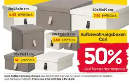 Rusta Aufbewahrungsbox carl Angebot