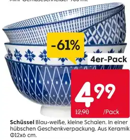 Rusta Schüssel Angebot