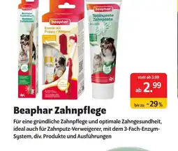 Das Futterhaus Beaphar zahnpflege Angebot