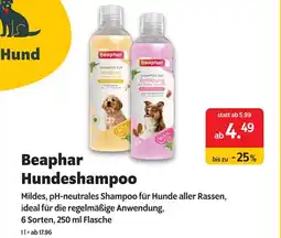 Das Futterhaus Beaphar hundeshampoo Angebot