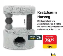 Das Futterhaus Trixie kratzbaum harvey Angebot