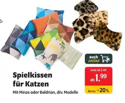 Das Futterhaus Spielkissen für katzen Angebot