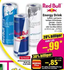 Norma Red Bull Energy Drink Angebot
