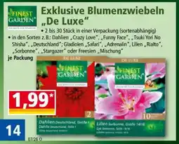 Norma Exklusive Blumenzwiebeln „De Luxe“ Angebot