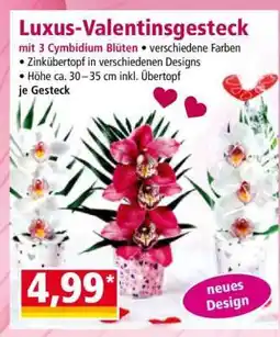 Norma Luxus-Valentinsgesteck Angebot