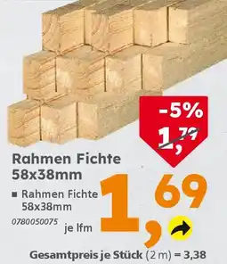 Globus Baumarkt Rahmen Fichte 58x38mm Angebot