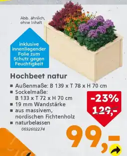 Globus Baumarkt Hochbeet natur Angebot