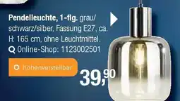 Opti Wohnwelt Pendelleuchte, 1-flg. Angebot