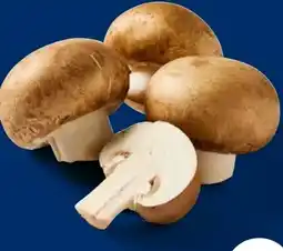 Lidl Bio Kulturchampignons Angebot