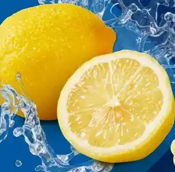 Lidl Bio-Zitronen Angebot