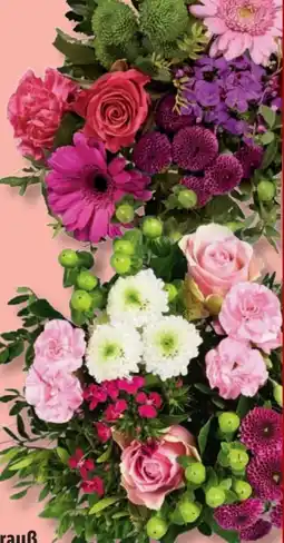 Lidl Germini-Santini-Strauß Angebot