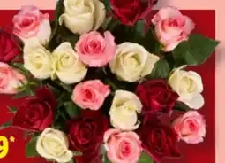 Lidl Rosenstrauß Angebot