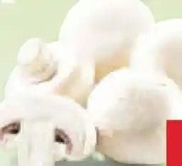 Netto Marken-Discount MarktTag Champignons Angebot