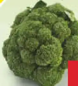 Netto Marken-Discount MarktTag Brokkoli Angebot