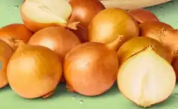 PENNY Marktliebe Regional Zwiebeln Bravos Angebot