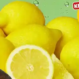 PENNY Zitronen XXL Angebot